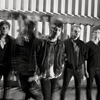 Lyrebirds-insideswebsmall